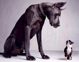 intimidation_2_small
